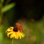 3月18日大乐透最新开奖结果公布 0h27rbtqgl