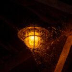 2025082期双色球开奖时间具体安排公布 0m9j3