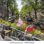 20250725开奖结果揭晓,幸运号码正式公布 3lene736t