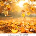 2025066期双色球开奖结果最新公布查询 6tc51zi