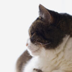 2025082期彩票开奖结果最新公布与号码查询 9m520ke