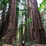 3月23日大乐透开奖结果震撼揭晓 dm327kqmh9