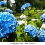 20250704开奖结果揭晓,幸运号码正式公布 is0bx