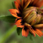 2025091期彩票开奖结果最新公布,大奖花落谁家? jddxq306t