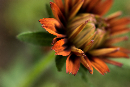 2025091期彩票开奖结果最新公布,大奖花落谁家?