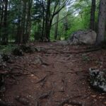 2025073期彩票开奖日期及详细时间安排公布 km7v3f