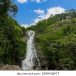 2025064期双色球开奖结果查询与最新公布 nskppc2