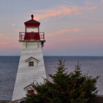 2025080期3D开奖结果最新公布完整号码查询 yx6a3px